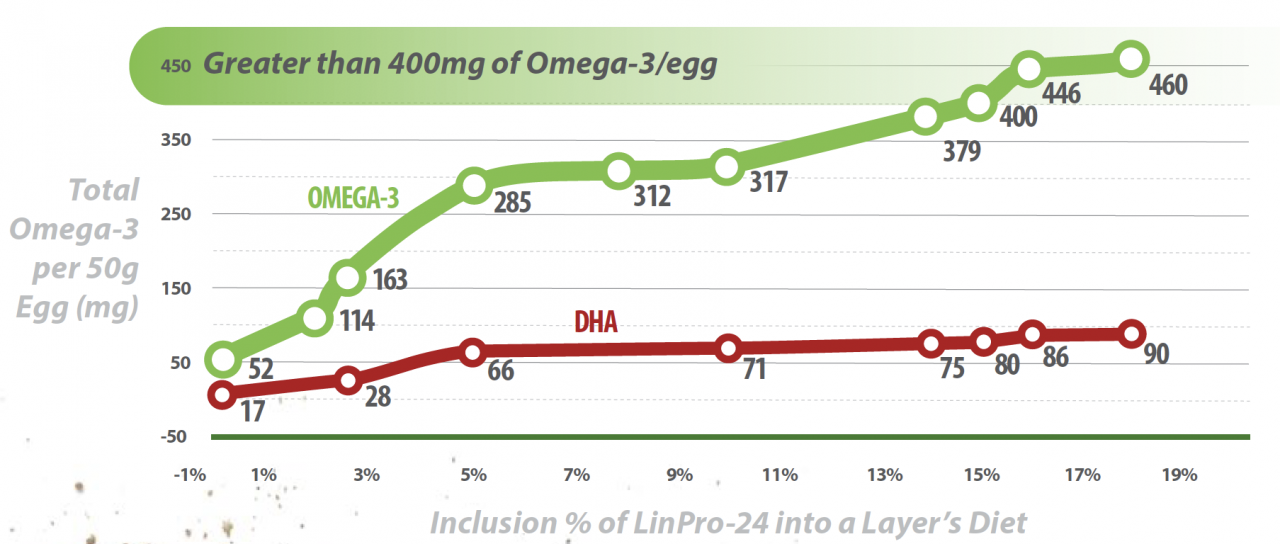 Omega3 Eggs O&T Farms