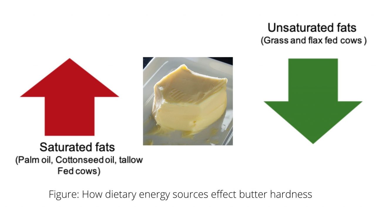 An Alternative Energy Source O&T Farms
