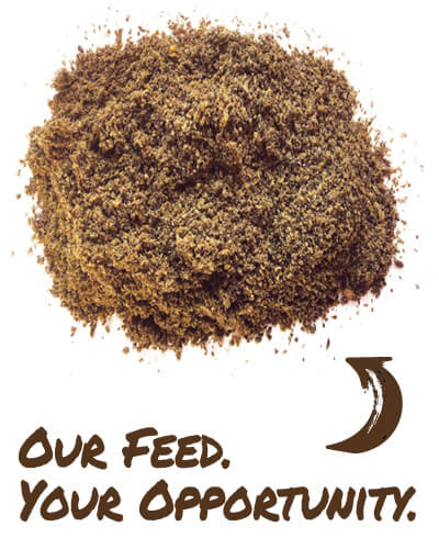 linPRO_Pile_Our_Feed