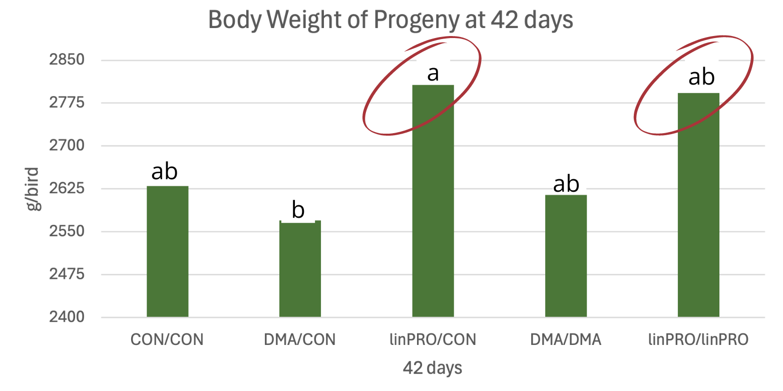 progeny-epigenetics-health-omega3-study-news-body-weight