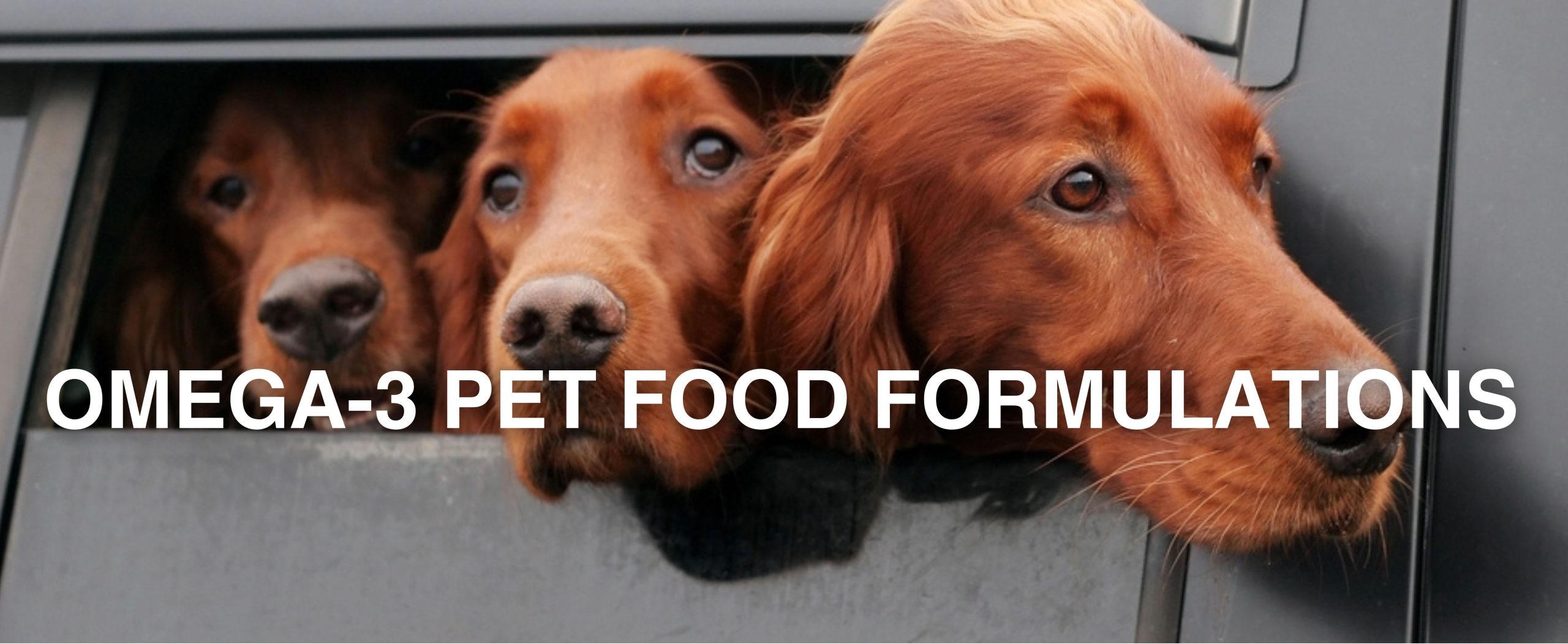 omega-3-pet-food-formulations