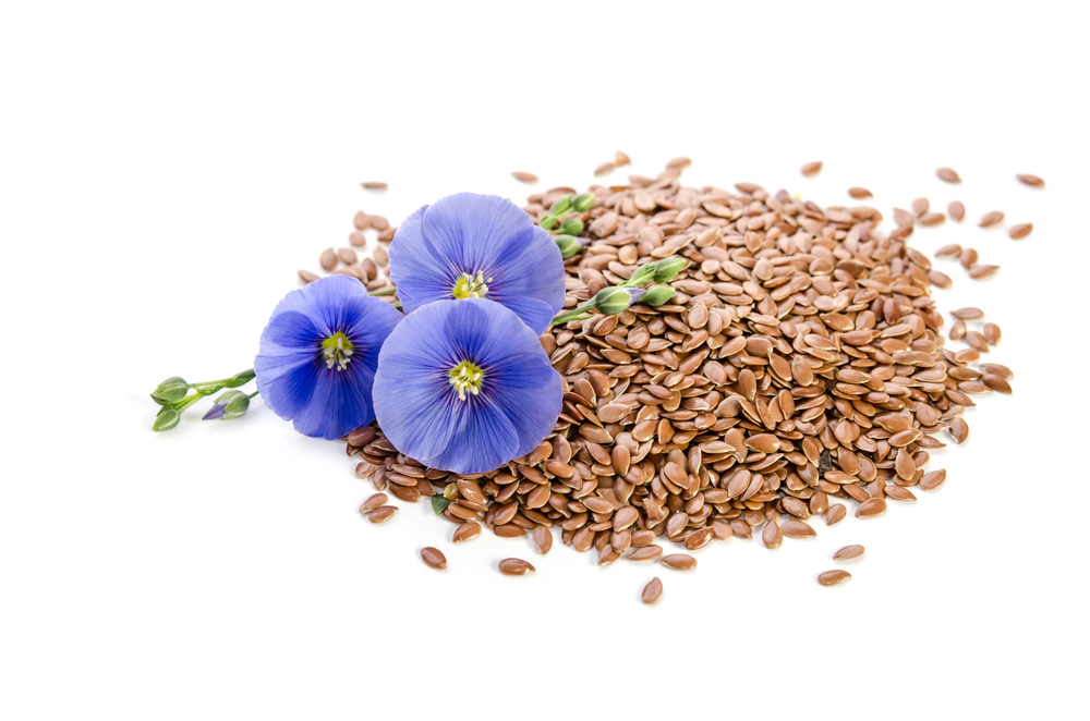 flaxseed