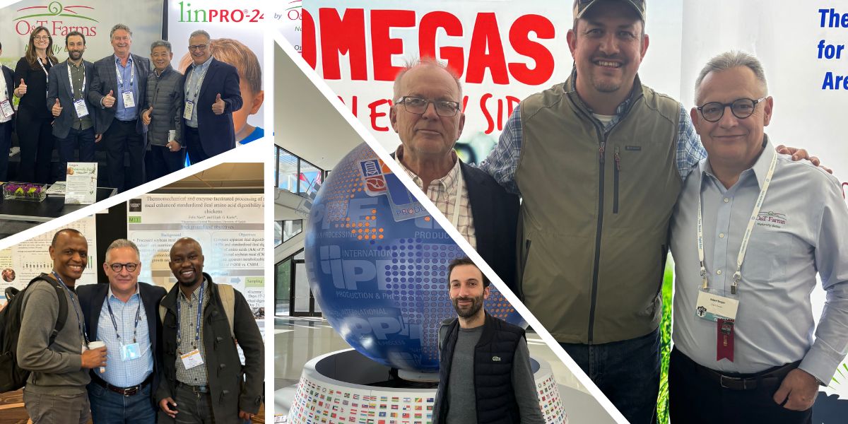 foreign-and-domestic-page-banner